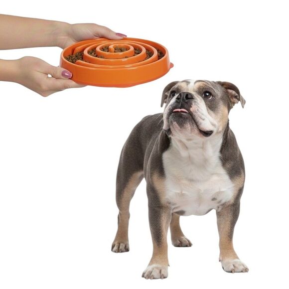 NWT Outward Hound Slo Bowl Orange MEDIUM Slow Feeder Anti Bloat Dog Bowl - Picture 1 of 9